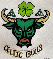 Celtic Bulls CF.