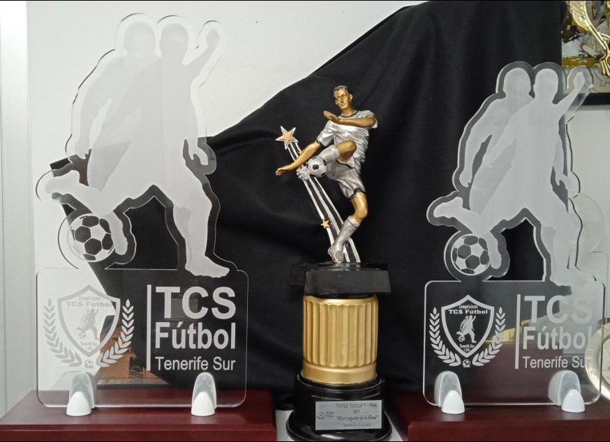 YA HAY FINALISTAS DEL XIV MEMORIAL DOMINGO PADRON HERNANDEZ DE FUTBOL 11 Y 7